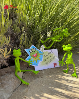 Zaterdag 20 juni is het weer tijd voor de 9e editie van de Kikkerloop! 🐸🚶‍♂️Een prachtige wandeltocht in en rondom Haarlem, georganiseerd ter nagedachtenis aan Ton de Rooij. Ton leefde met ALS, hield van wandelen en van Kermit de Kikker. Zijn liefde voor bewegen leeft voort in dit bijzondere evenement.Dit jaar gaat de volledige opbrengst naar Stichting ALS op de weg. Dus, of je nu kiest voor 5, 10, 20 of zelfs 30 kilometer: elke stap telt! 💪Loop jij ook mee voor Ton, voor mensen met ALS en voor een wereld waarin meedoen mogelijk blijft?📅 Zaterdag 20 juni 2026
📍 Haarlem en omgeving
🔗 Meer informatie en inschrijven: kikkerloop.nl#Kikkerloop #ALSopdeweg #WandelMee #Haarlem #StopALS